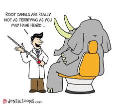 root-canal-at-nirmal-dental-clinic